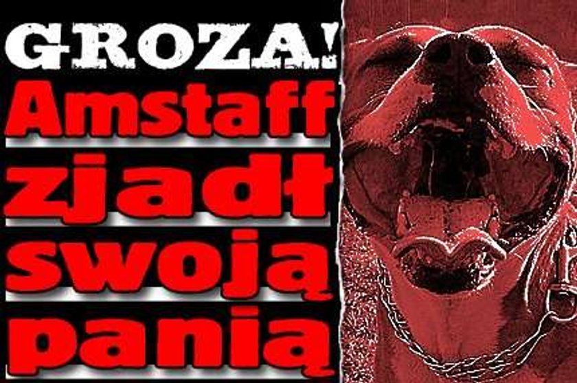 Groza! Amstaff zjadł swą panią