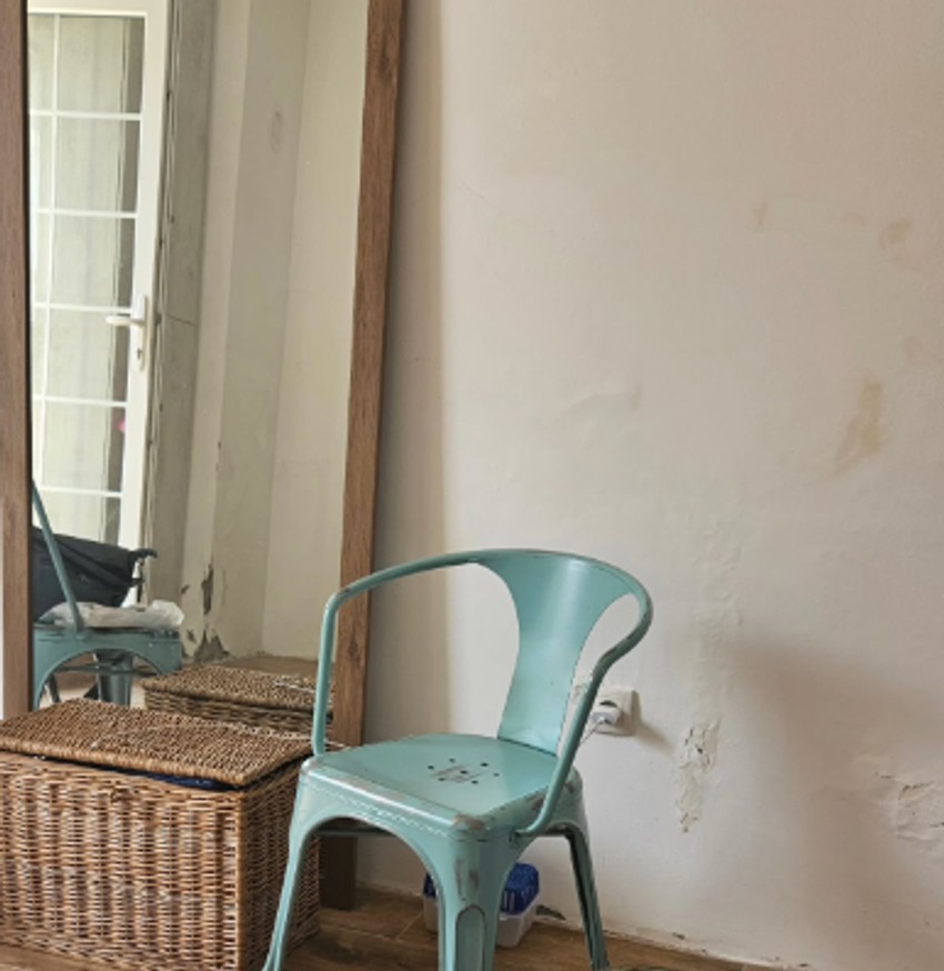 Mirjana Bobić Mojsilović kuća na selu