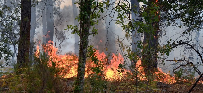 Francja w ogniu. W walce z żywiołem pomogą polscy strażacy