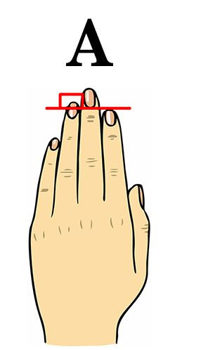 1. Typ A: Palec serdeczny jest dłuższy od wskazującego