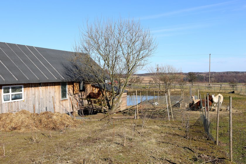 Niezwykłe gospodarstwo agroturystyczne na Kaszubach