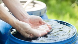 Nawet 4000 zł na deszczówkę. Dotacje wracają z rekordowym budżetem