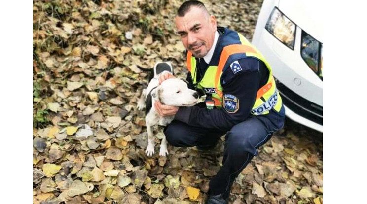 Az egyenruhások Kaba külterületén vették észre a lesoványodott állatot./ fotó: police