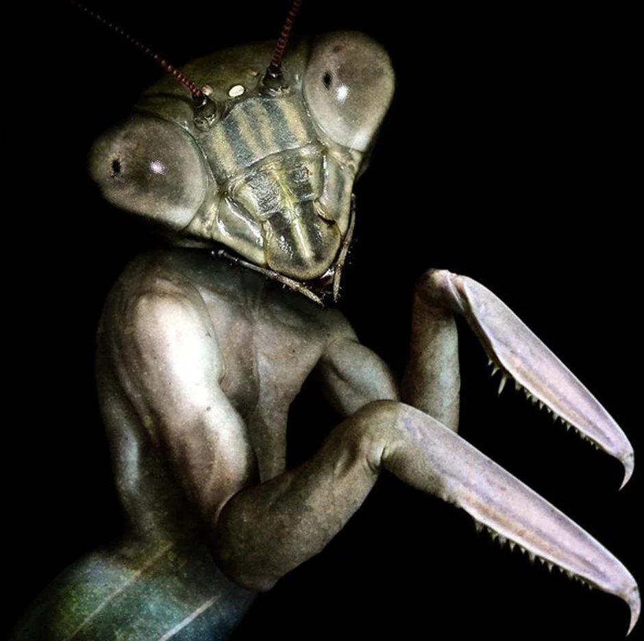 Foto: Francesco Sambo