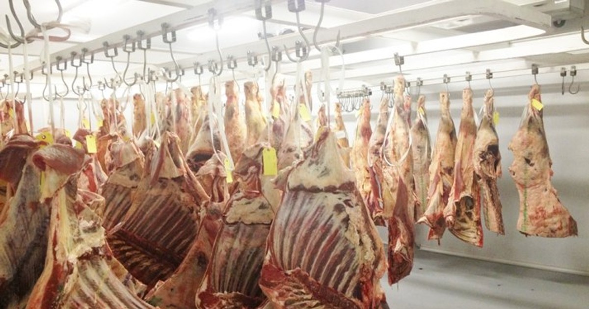 Туши животных. Туши животных. 2 категория россия. 2 категория россия. Туши животных.