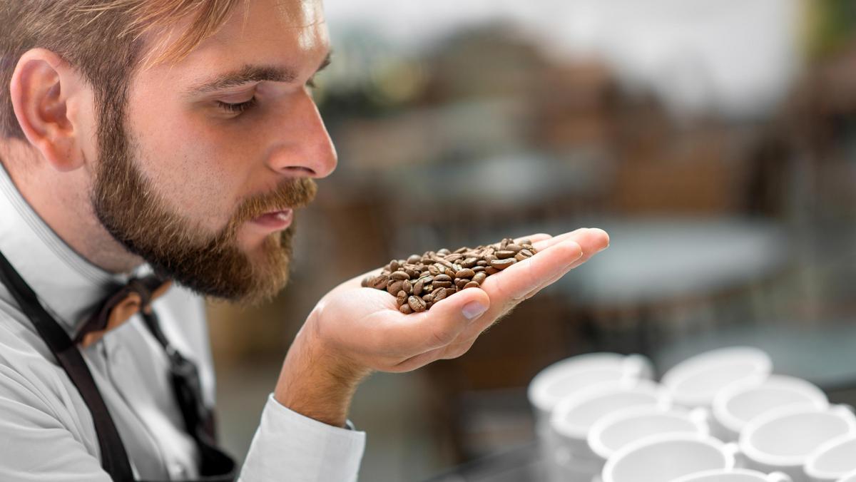 Barista checking coffee beans at the cafe