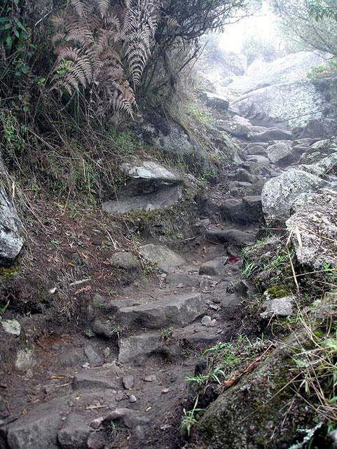 Galeria Peru - Machu Picchu "Zaginione Miasto Inków", obrazek 18