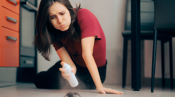 Környezetbarát házi szerekkel is elűzhetjük otthonunkból a pókokat / Fotó: Shutterstock