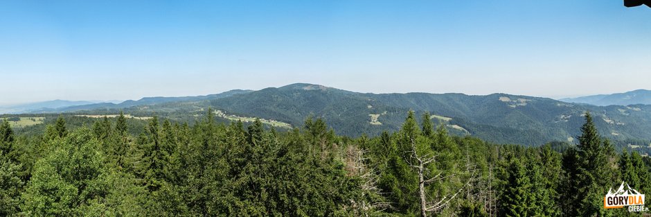 Panorama Pasma Radziejowej z wieży widokowej na Eliaszówce