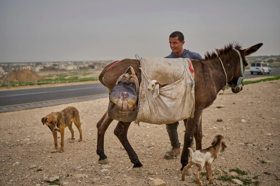 Palestinac na Zapadnoj obali 9. februara