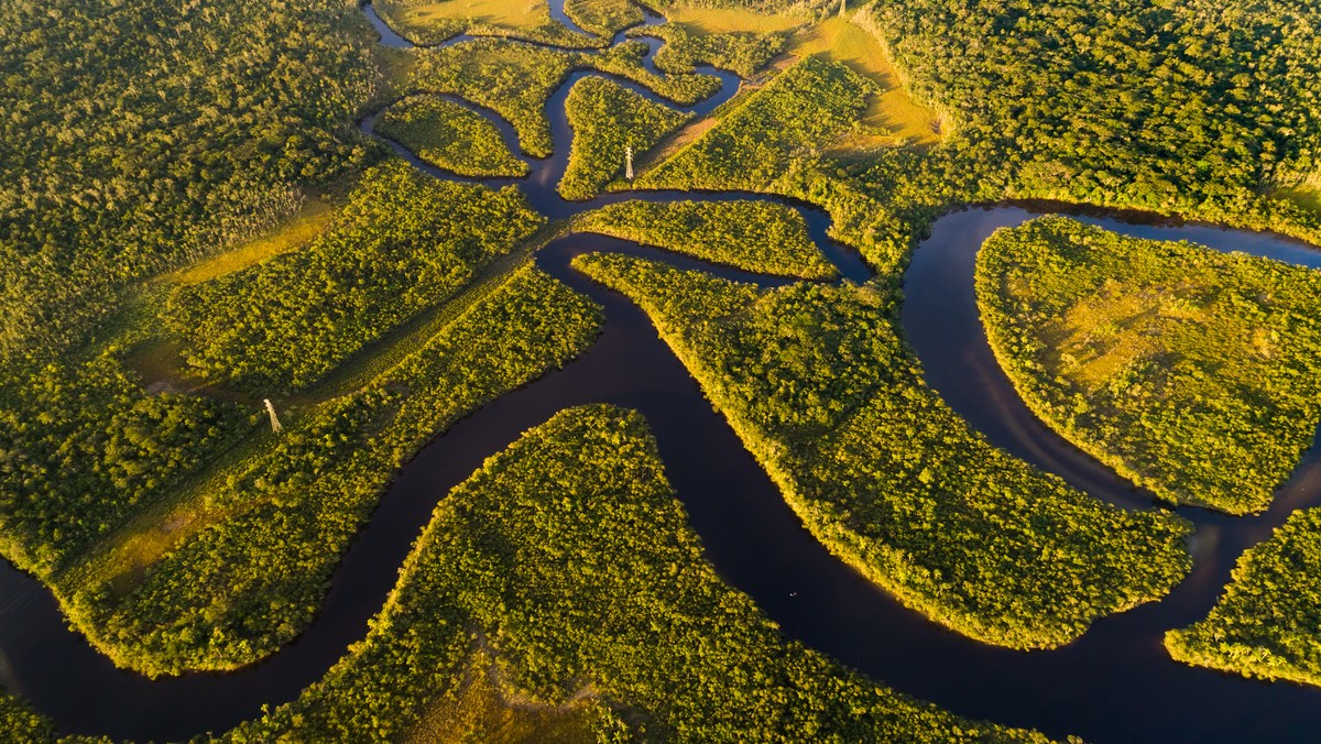 Szczyt klimatyczny COP26. Brazylia deklaruje lepszą ochronę lasów deszczowych 