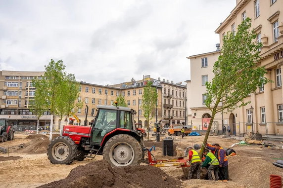 Zamiast małych sadzonek są duże drzewa. Tak zmienia się plac Wolności w Łodzi