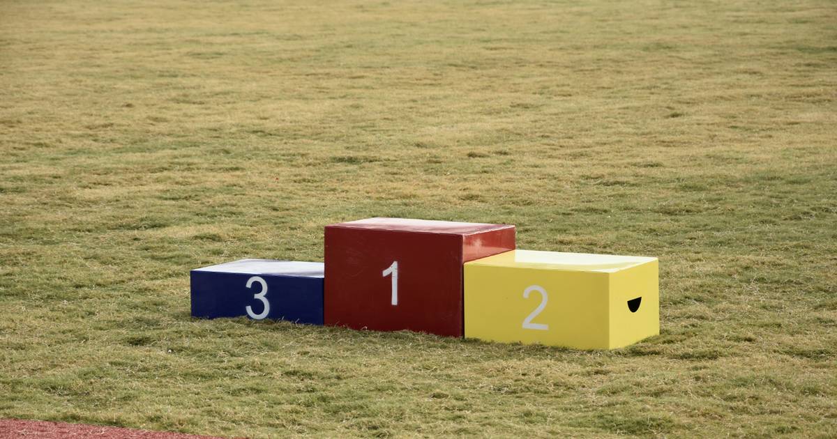 Sprawdzian wiedzy. 10 pytań wskaże ci twoje miejsce