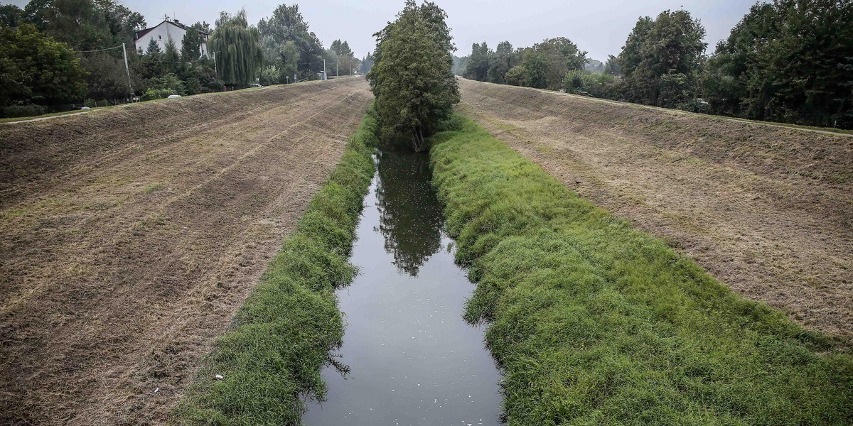 Miasto zrobi ścieżkę rowerową wzdłuż Rudawy. Dobra wiadomość dla rowerzystów! 