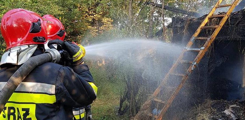 Makabryczne odkrycie w Skarżysku-Kamiennej. W domu znaleziono zwęglone zwłoki