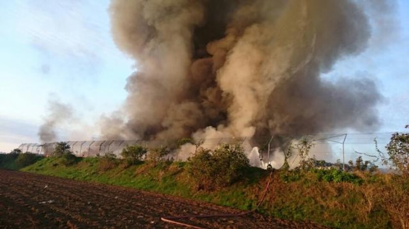 Gigantyczny pożar wysypiska śmieci w Dąbrówce Wielkopolskiej