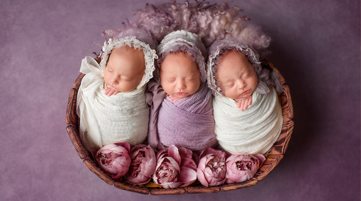 Hugicát szeretett volna kisfiuk mellé a házaspár, hármas ikreik születtek Fotó: Shutterstock