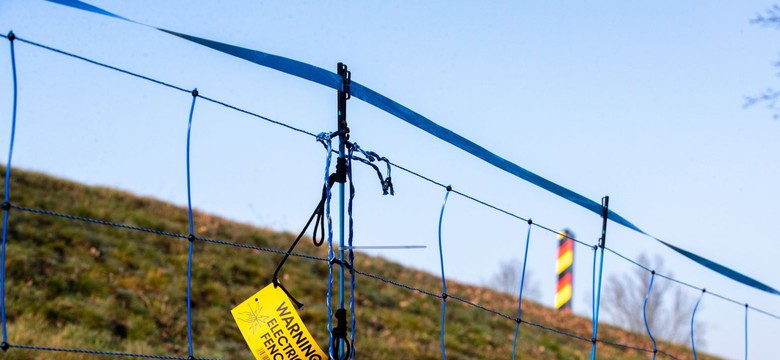 Niemcy budują kolejne ogrodzenie na granicy z Polską