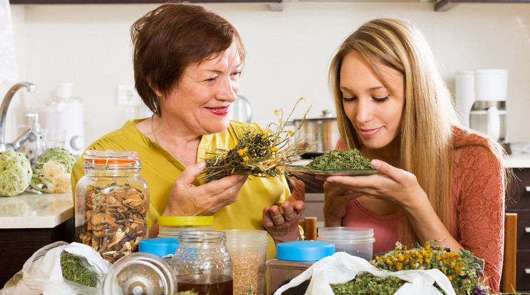 Szintetikus gyógyszerek helyett sok esetben segíthetnek a gyógynövények is. / Fotó: shutterstock