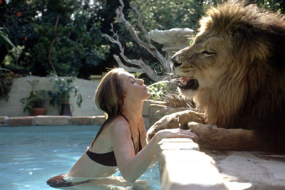 "Roar" (1981)