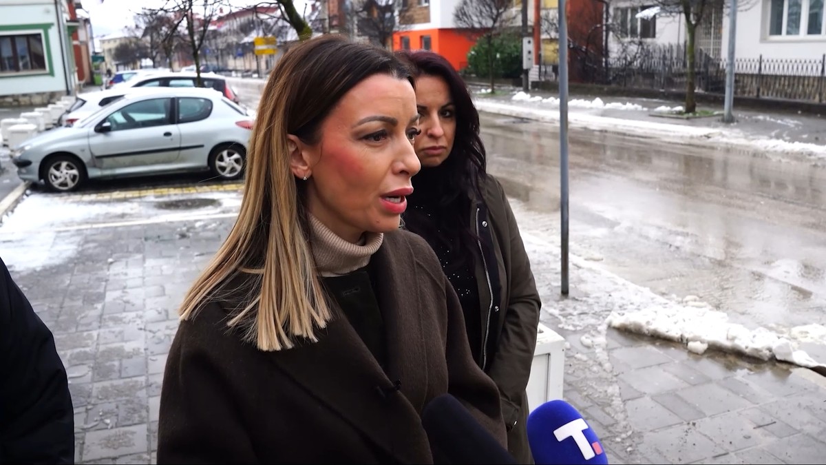 Andrijana Mesarović