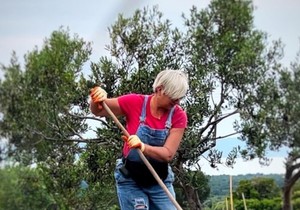 Kuća Danijele Dvorik