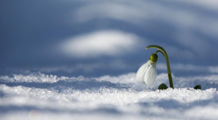 Újra havazást ígérnek a meteorológusok, Fotó: Getty Images