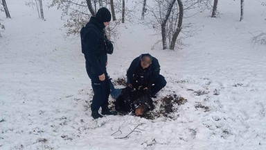 Obława we Wrocławiu zakończona. Podejrzany o postrzelenie policjantów został ujęty