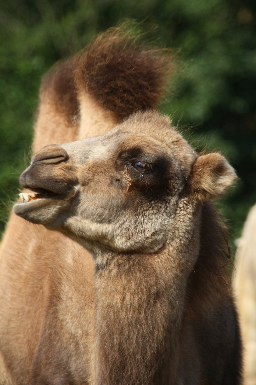 Weekendowe atrakcje w poznańskim Zoo