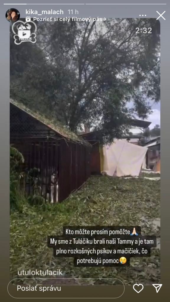 Osud útulku nie je Kike ľahostajný.