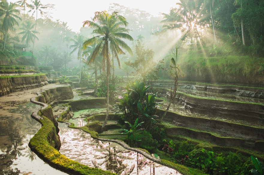 Bali - Adobe Stock - Oleg Breslavtsev