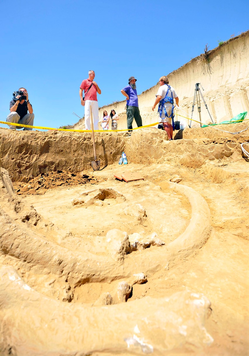 Mamut star pet miliona godina