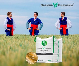 Mistrzowskie odmiany na Twoim polu