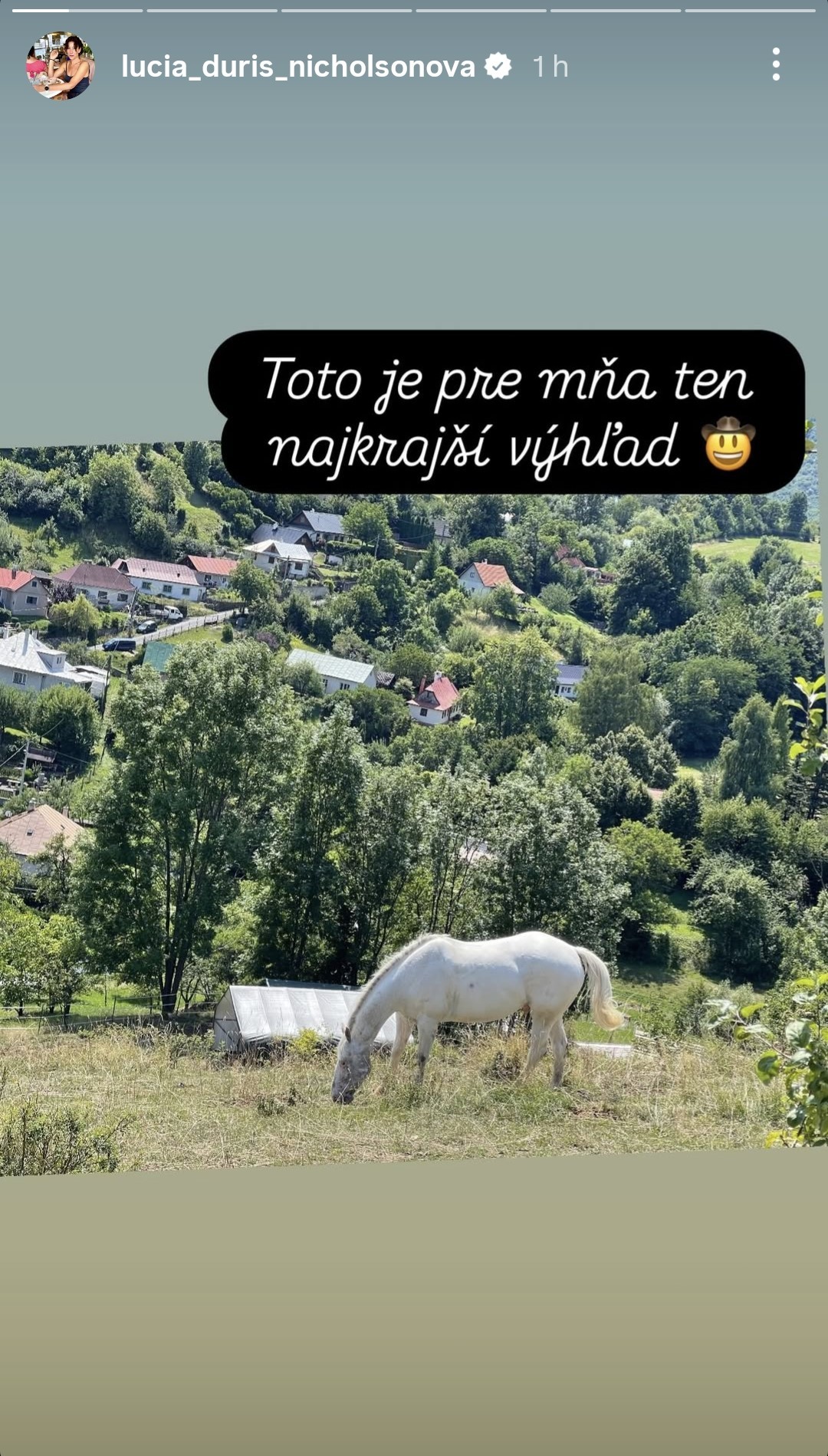 Lucia Ďuriš Nicholsonová uvažovala nad návratom na Slovensko. 