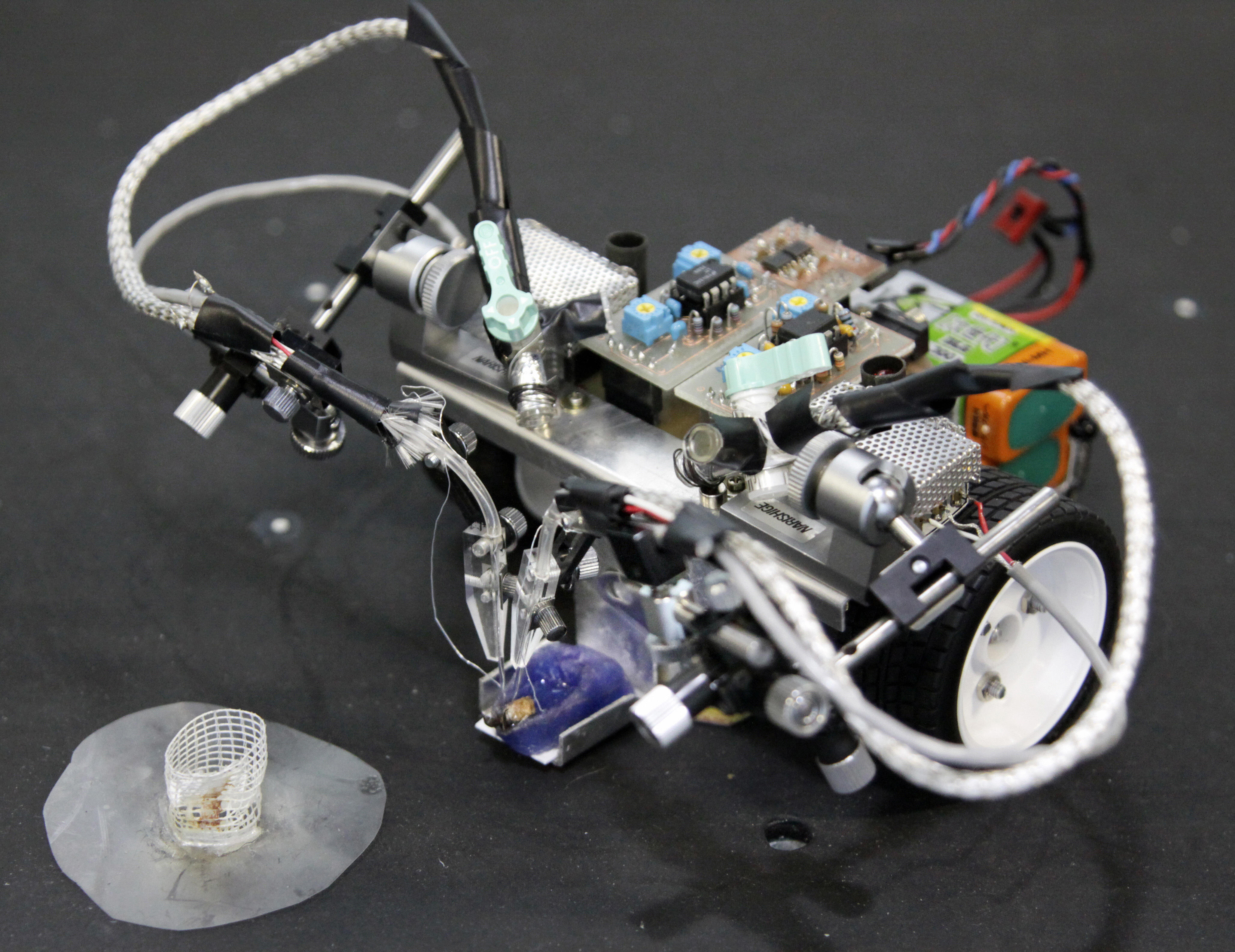 Insetti cyborg: zaini più efficienti, voltaggio -25%