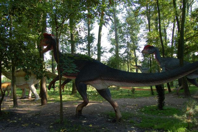 Galeria Polska - Rogowo - Park Dinozaurów, obrazek 34