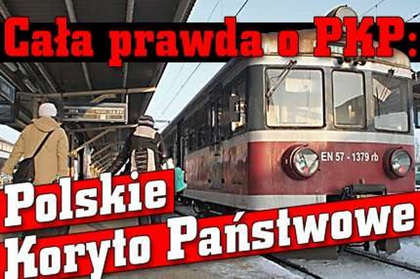 Cała prawda o PKP: Polskie Koryto Państwowe