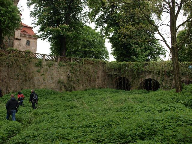 Galeria Poszukiwacze skarbów na zamku Domanice, obrazek 19