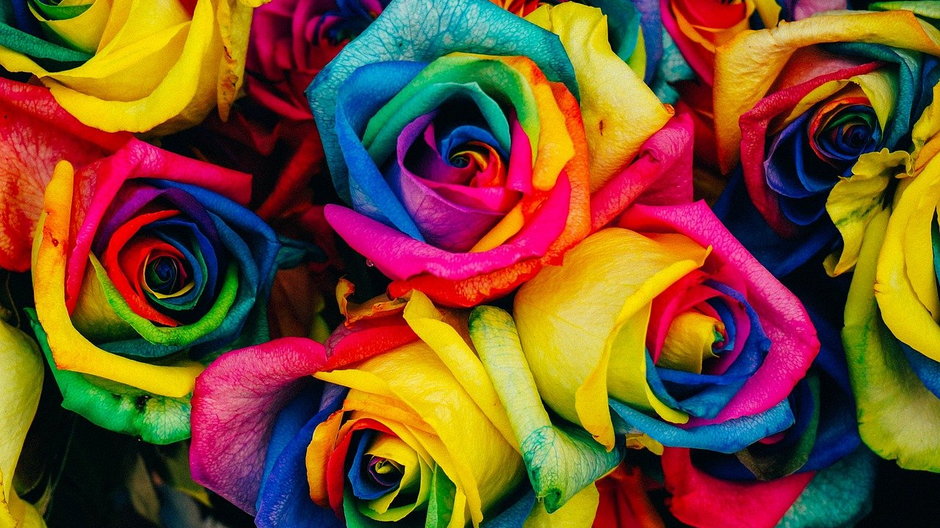 Co oznaczają kolory róż?