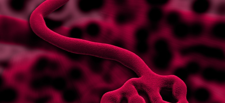 Ebola: trudna sytuacja w Sierra Leone