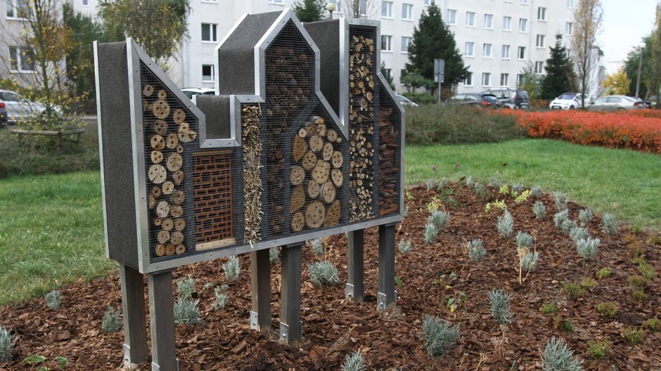 Hotel dla owadów w Płocku