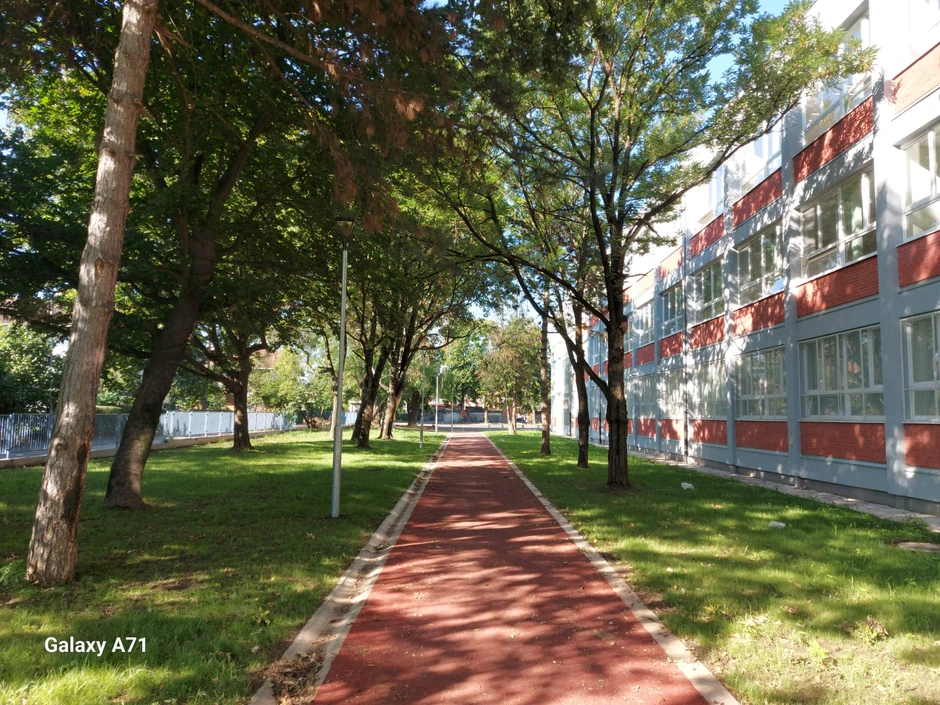 "Svetislav Golubović Mitraljeta"