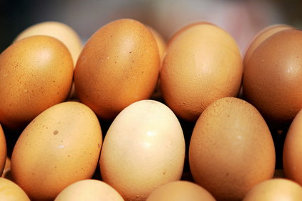 Jajka skażone fipronilem w Polsce - ostrzega sanepid
