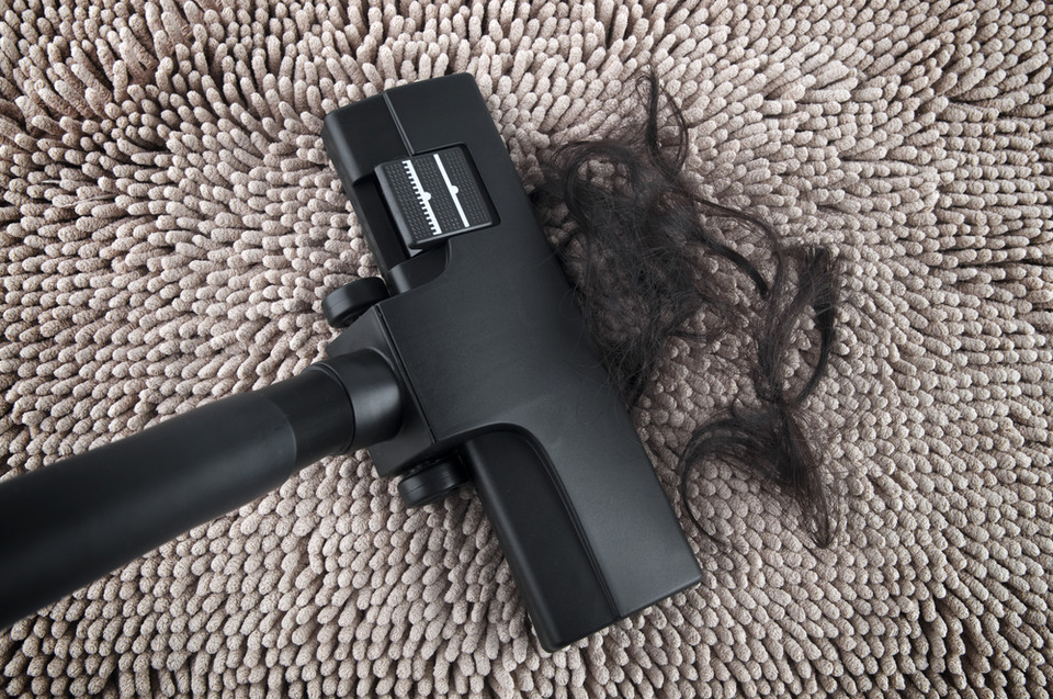 Sierść i włosy na dywanie