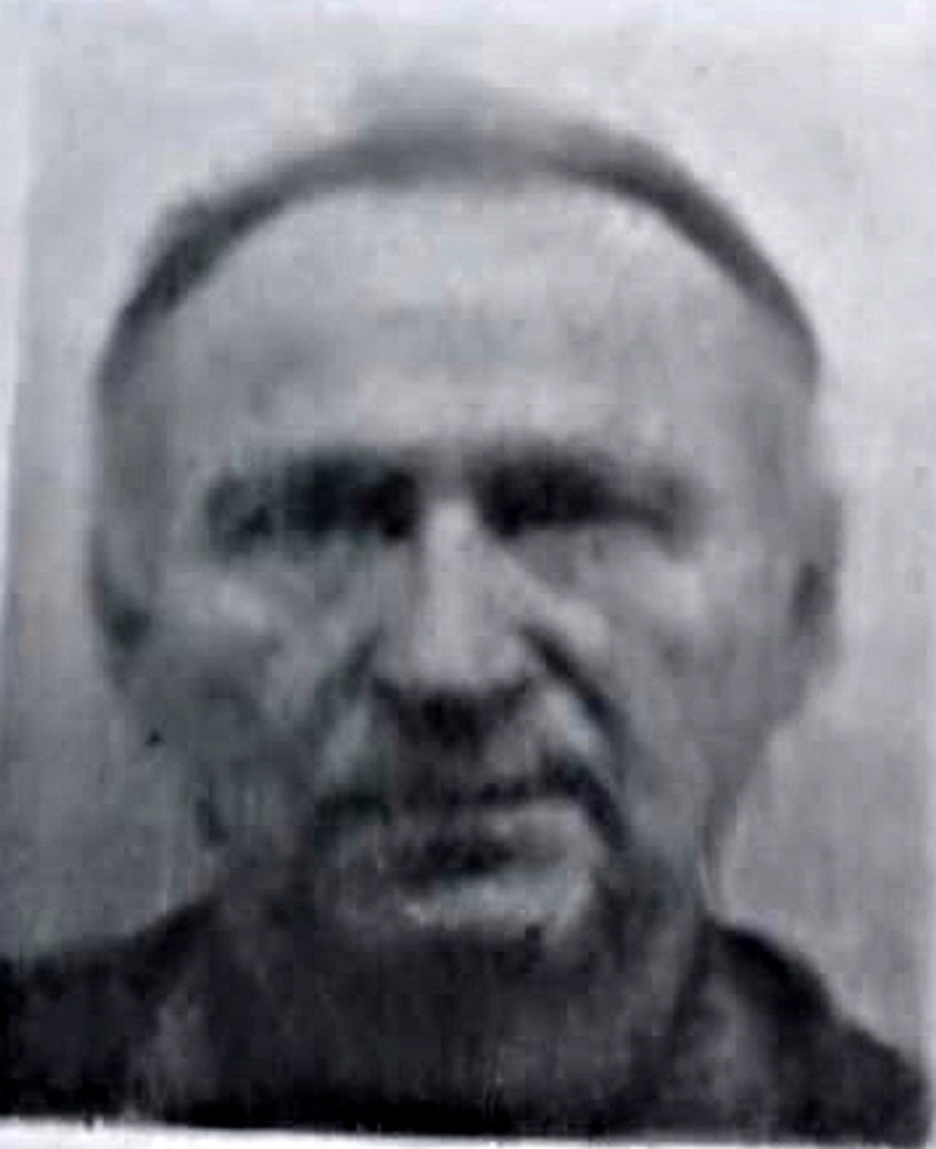 Miroljub Lepojić