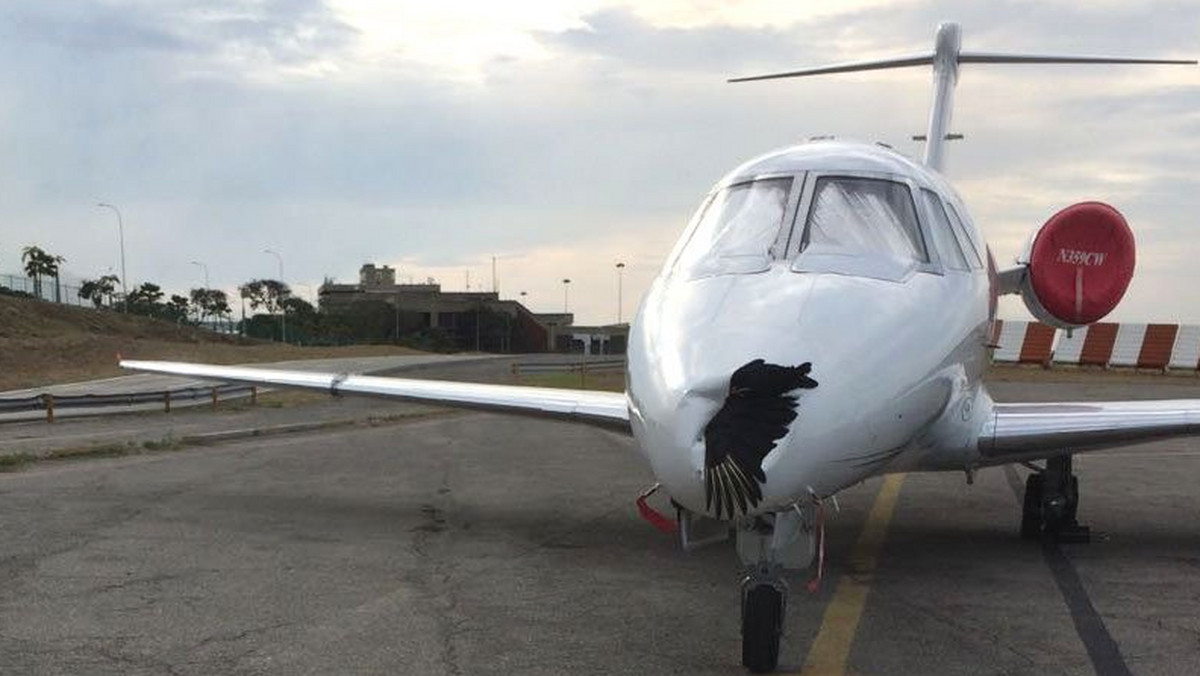 Do awaryjnego lądowania samolotu doszło na wenezuelskim lotnisku Caracas-Simón Bolivar. Pilot maszyny Cessna 650 podjął taką decyzję po tym, jak w trakcie lotu w dziób samolotu wbił się ptak.