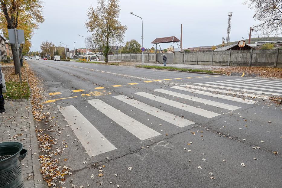 Zebrán gázolták halálra a családját gyászoló Pétert  /Fotó: Fuszek Gábor