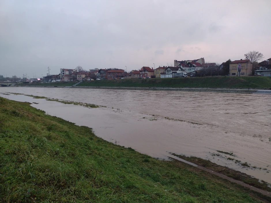 Retka vrsta insekta pronađena je na obali Nišave kod Dimitrovgrada