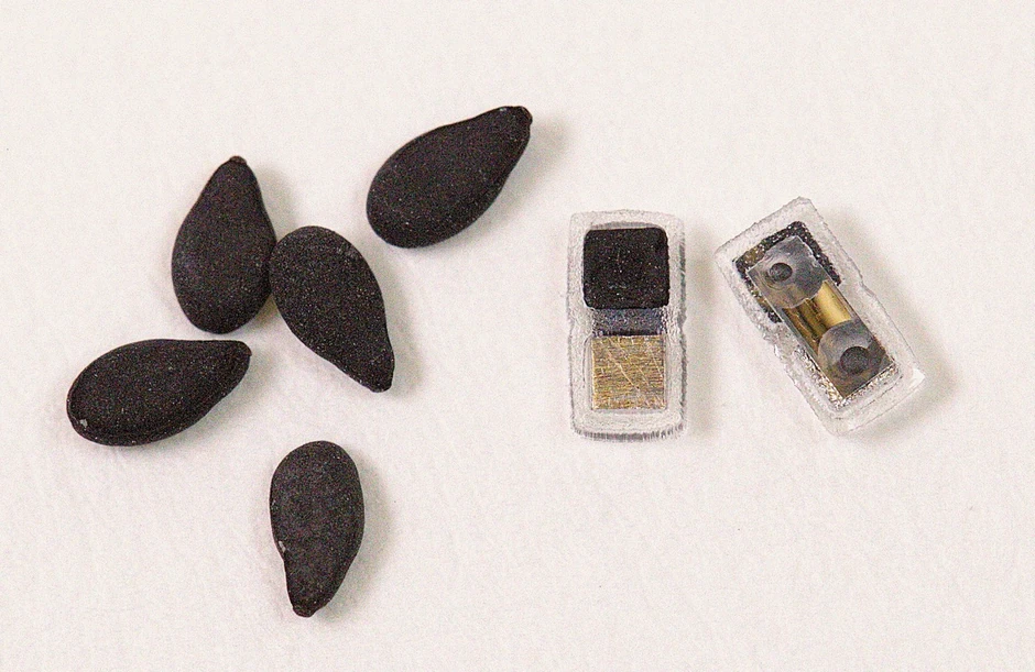 Najmanji pejsmejker dizajniran je i da se rastvori u telu kada više nije potreban