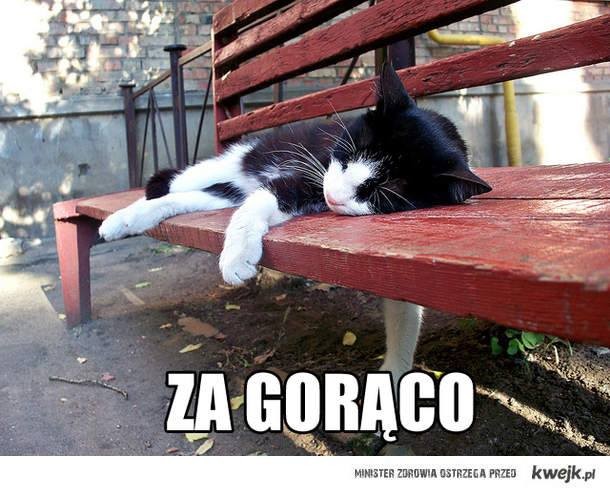 Galeria najlepszych memów minionego tygodnia